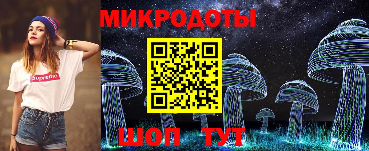 Псилоцибиновые грибы мицелий Кимовск