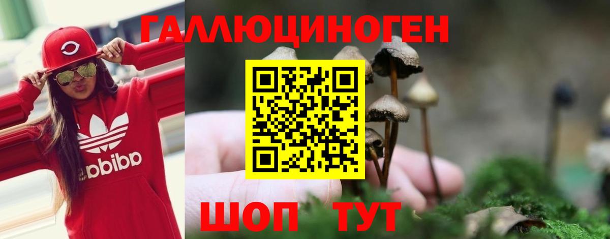 Галлюциногенные грибы прущие грибы  Вход с VPN  Галлюциногенные грибы MAGIC MUSHROOMS  Кимовск 