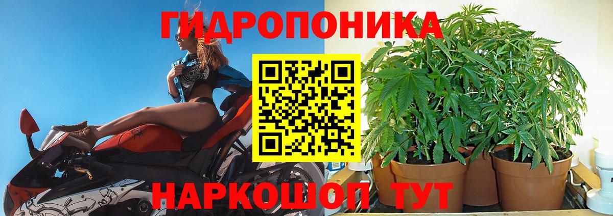 Шишки марихуана OG Kush  Каннабис OG Kush  Вход с VPN  Кимовск  Бошки Шишки Amnesia 